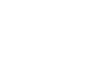 light logo