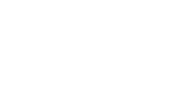 light logo
